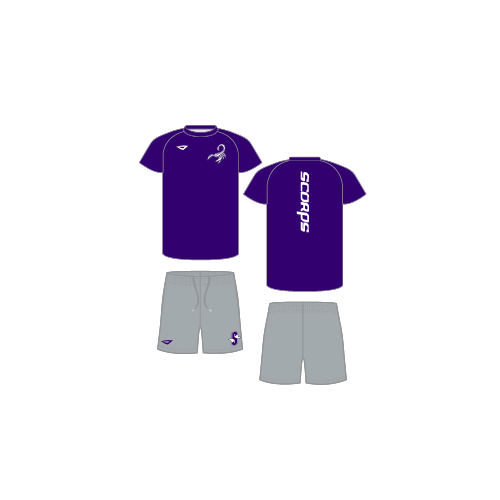 Scorpions Sublimated Practice Set - Purple/Grey